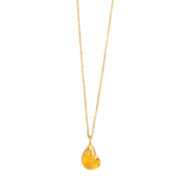Wellfleet Oyster Necklace in Gold Vermeil